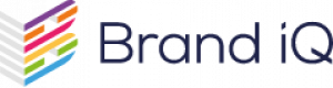 Brand iQ Partners logo